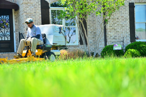 lawn maintenance