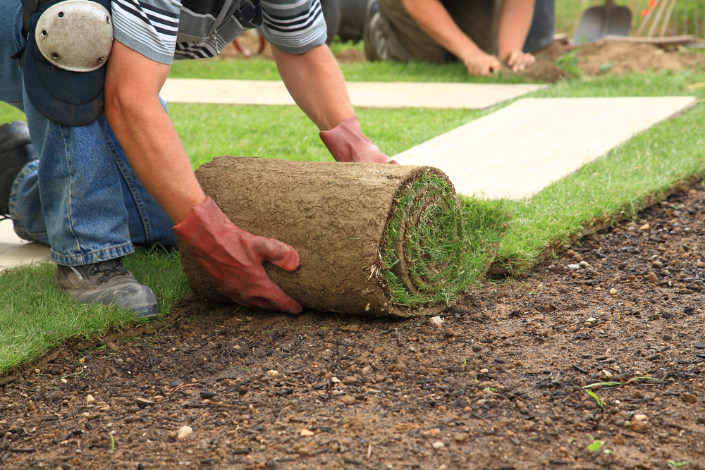 landscape installation